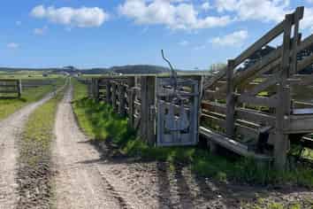 110 Tennants Road, Bulls