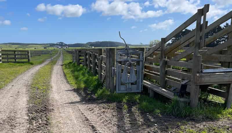 110 Tennants Road, Bulls