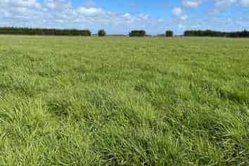 110 Tennants Road, Bulls