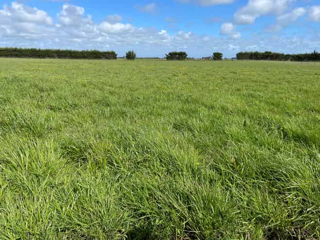 110 Tennants Road, Bulls