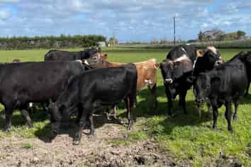 110 Tennants Road, Bulls