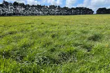 110 Tennants Road, Bulls