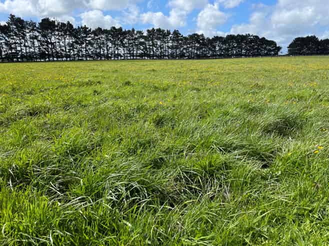 110 Tennants Road, Bulls