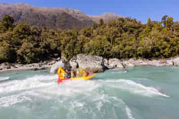 Established Eco Jet-Boat Tour Operator West Coast