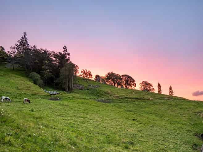 39 Corbett Drive, Te Puna