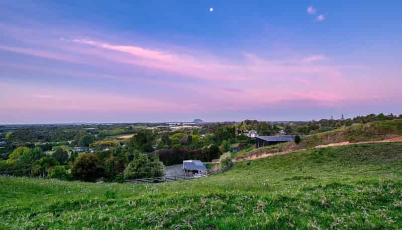 39 Corbett Drive, Te Puna