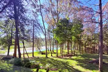 1793 Mohaka Coach Road, Mohaka