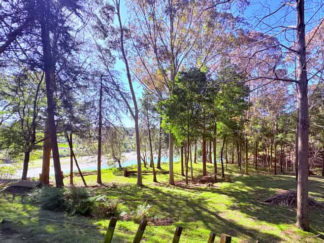 1793 Mohaka Coach Road, Mohaka