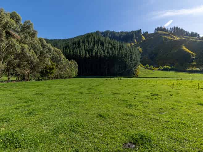 208 Mount Riley Road, Okaramio