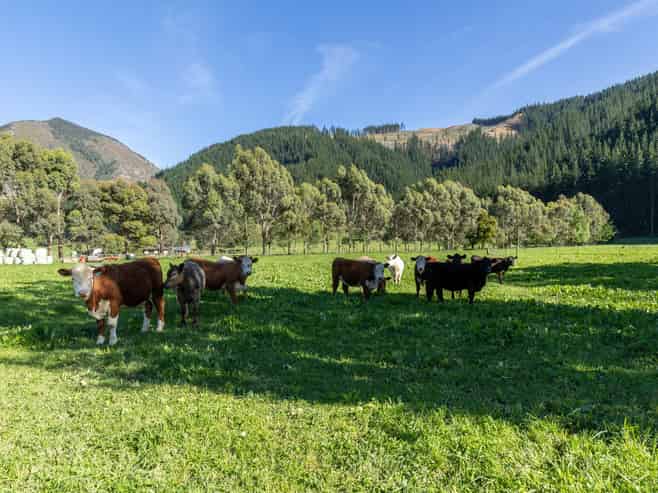 208 Mount Riley Road, Okaramio