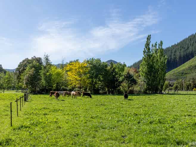 208 Mount Riley Road, Okaramio