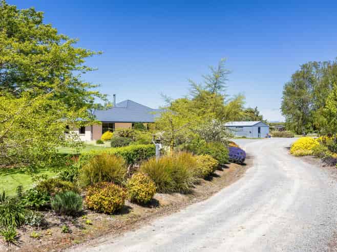 Stockfeed Business and Lifestyle Land