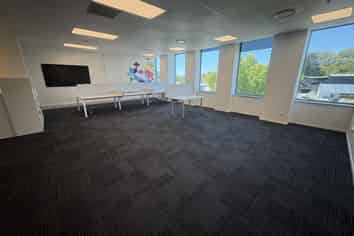 Bright, Bold, and Business-Ready - 167sqm Mt Eden