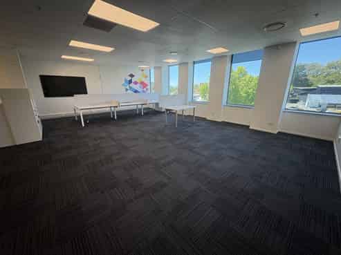 Bright, Bold, and Business-Ready - 167sqm Mt Eden