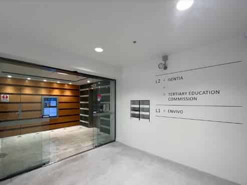 Bright, Bold, and Business-Ready - 167sqm Mt Eden