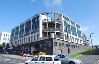 Bright, Bold, and Business-Ready – 167sqm Mt Eden