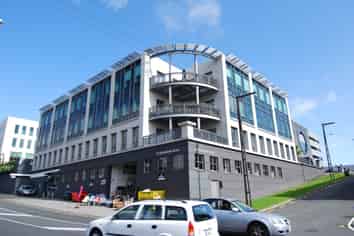 Bright, Bold, and Business-Ready - 167sqm Mt Eden