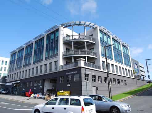 Bright, Bold, and Business-Ready - 167sqm Mt Eden