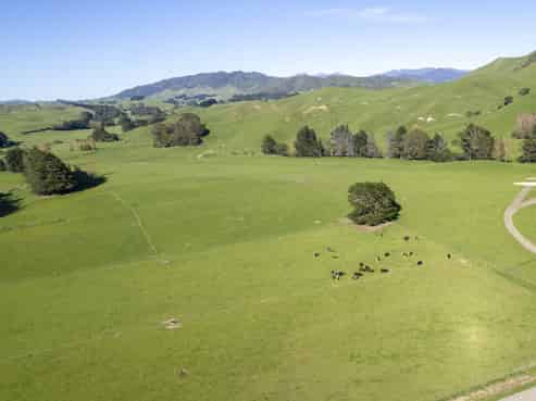 2472 Opaki Kaiparoro Road, Eketahuna