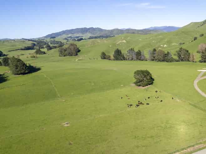 2472 Opaki Kaiparoro Road, Eketahuna