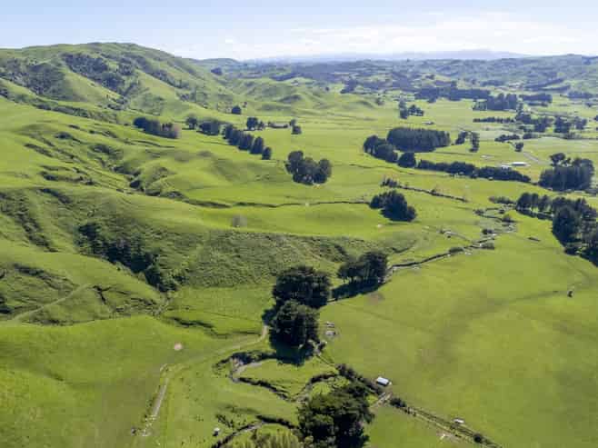 2472 Opaki Kaiparoro Road, Eketahuna