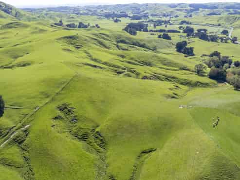 2472 Opaki Kaiparoro Road, Eketahuna