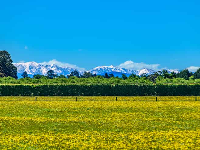 Lot 4/646 Weedons Road, Rolleston