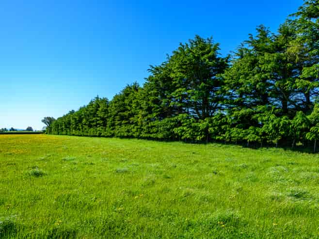 Lot 4/646 Weedons Road, Rolleston