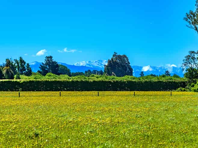 Lot 4/646 Weedons Road, Rolleston