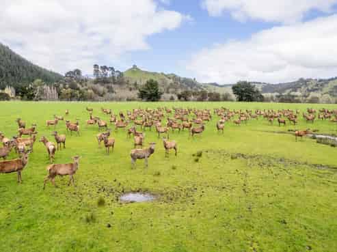 1471 Mangamahu Road, Mangamahu