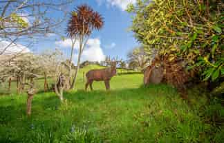 1471 Mangamahu Road, Mangamahu