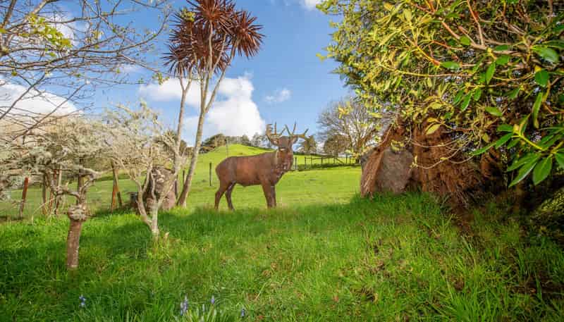 1471 Mangamahu Road, Mangamahu
