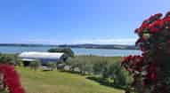 Open gallery