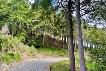 Lot 5 Gaudion Road, Peebles, OAMARU