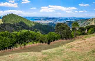 Lot 4/181C Govan Wilson Road, Matakana