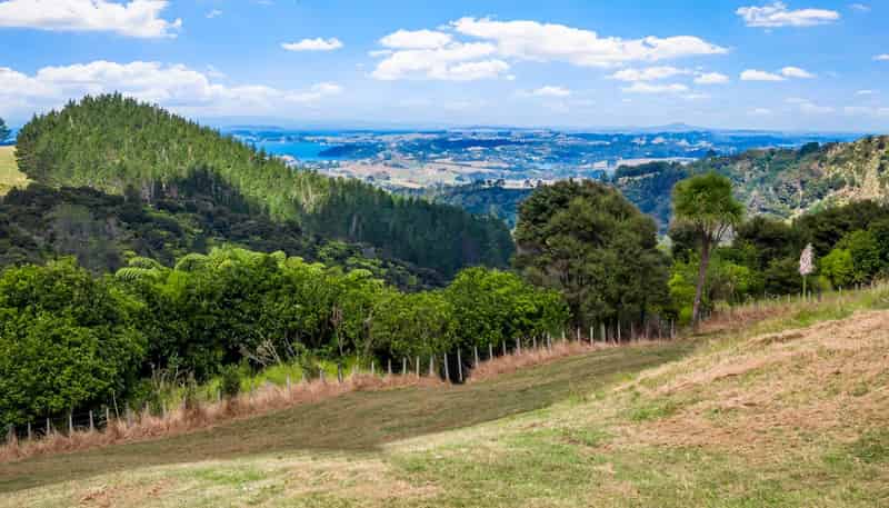 Lot 4/181C Govan Wilson Road, Matakana