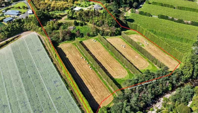 85 Wharawhara Road, Katikati