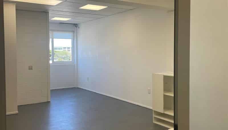  GF, Rear, 111 Newton Road, Eden Terrace