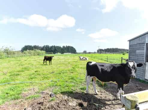 91 Bushy Park Road, Kai Iwi