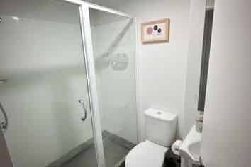 105/207 Federal Street, Auckland Central