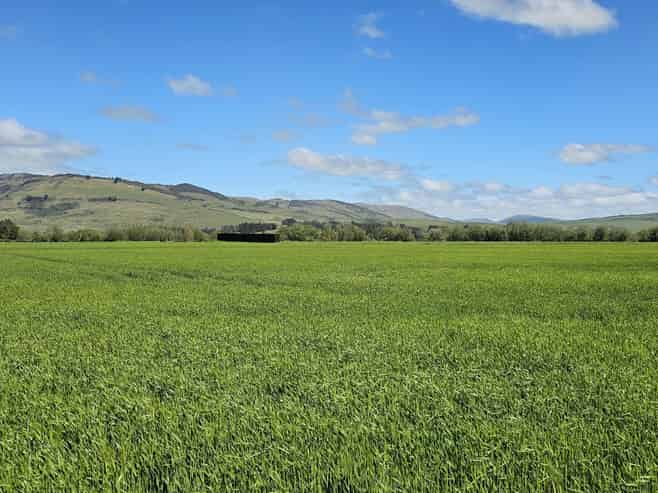 69 Roche Road, Mandeville