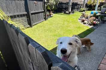 15 Te Ruru Way, Stanmore Bay