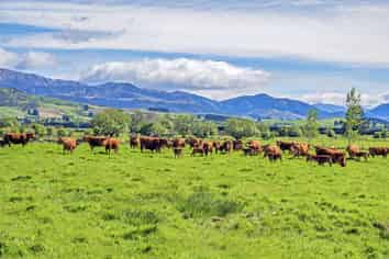677 Pig Saddle Road, Sheffield