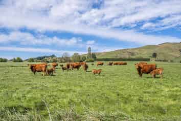 677 Pig Saddle Road, Sheffield