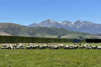 677 Pig Saddle Road, Sheffield