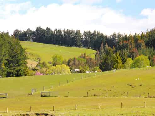 657 Ramparts Road, Te Anau