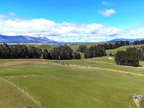 657 Ramparts Road, Te Anau