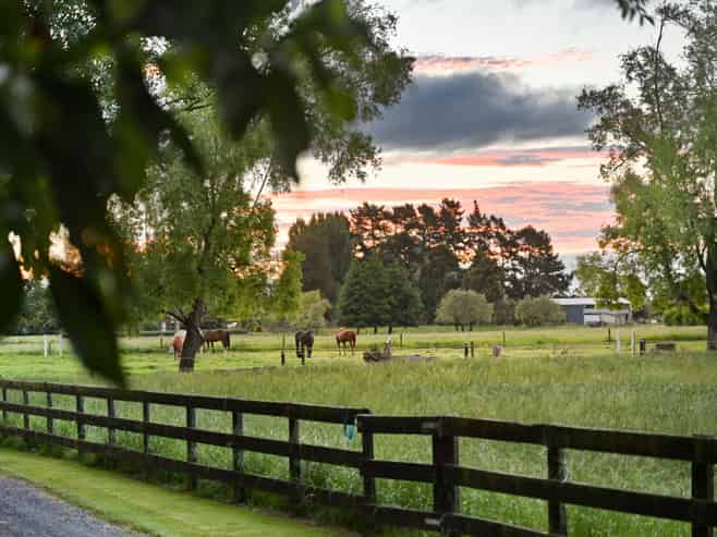 509 Marychurch Road, Matangi