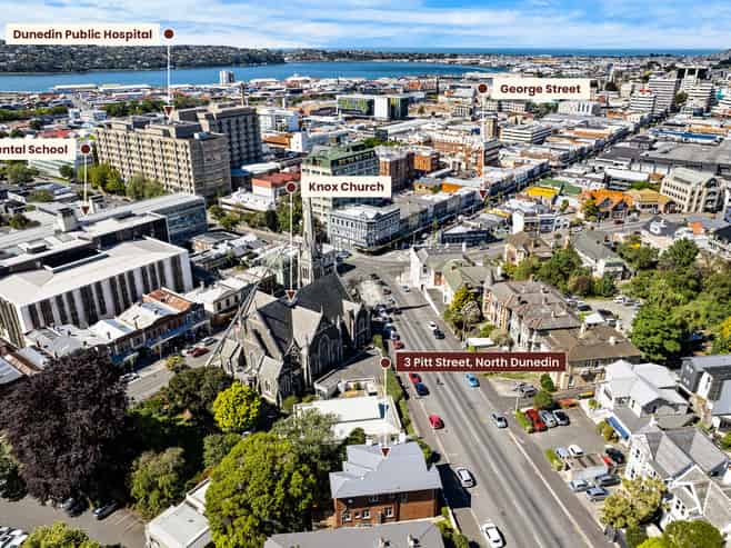 3 Pitt Street, North Dunedin