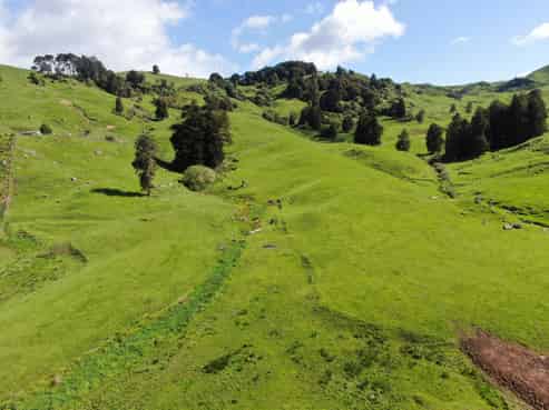 Lot (Rural), 1246 State Highway 3, Piopio